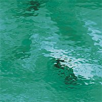Spectrum glas 523-2W 30x25cm